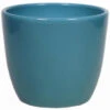 Floran Plantenpot - Oceaan Blauw - Glanzend - Keramiek - 15 X 13 Cm 1 Floran Plantenpot - Oceaan Blauw - Glanzend - Keramiek - 15 X 13 Cm -Bekend Tuinmeubelen Winkel 1000012848