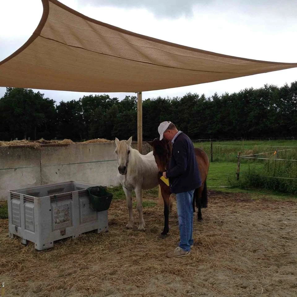 Sunfighters Rechthoek 3,5x5 Zand 6 Sunfighters Rechthoek 3,5x5 Zand - Afbeelding 4