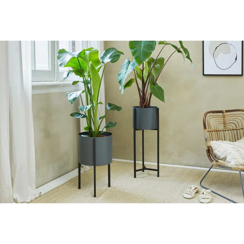 Lifa Living Hoge Plantenbak Met Zwart Metalen Frame En Grijze Bak 6 Lifa Living Hoge Plantenbak Met Zwart Metalen Frame En Grijze Bak - Afbeelding 4