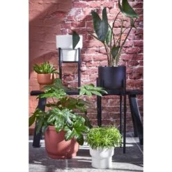 Mica Decorations Ascot Plantenstandaard XL - H49,5 Cm - Zwart -Bekend Tuinmeubelen Winkel 1000038577 0103