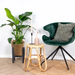 Strelitzia Nicolai Incl. Mand - ⌀19 Cm - ↕80-90 Cm -Bekend Tuinmeubelen Winkel 1000070206 0103