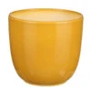 MIca Decorations Planten/bloempot Tusca - Okergeel - D17/H16 Cm 2 MIca Decorations Planten/bloempot Tusca - Okergeel - D17/H16 Cm -Bekend Tuinmeubelen Winkel 1000087642