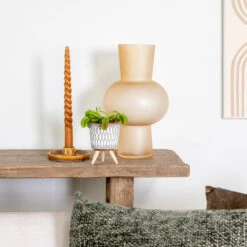 Dionaea Muscipula – Venusvliegenvanger – ⌀6 Cm – ↕05-10 Cm 9 Dionaea Muscipula – Venusvliegenvanger – ⌀6 Cm – ↕05-10 Cm -Bekend Tuinmeubelen Winkel 1163593529 0103