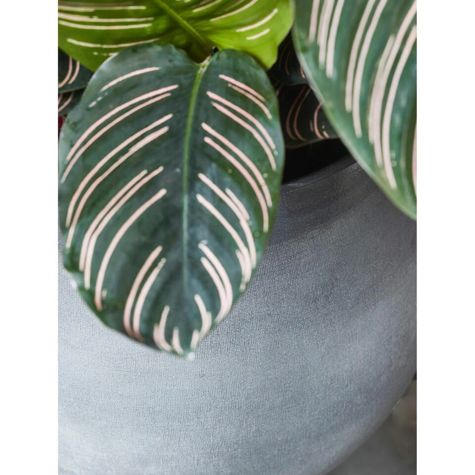 Mica Decorations Bloempot - Grijs - Keramiek - 33 X 28 Cm 4 Mica Decorations Bloempot - Grijs - Keramiek - 33 X 28 Cm - Afbeelding 2