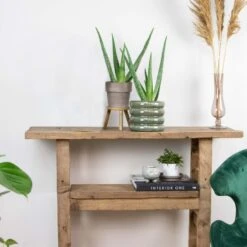 2x Aloe Vera Barbadensis - Vetplant - ⌀10,5 Cm - ↕30-35 Cm 9 2x Aloe Vera Barbadensis - Vetplant - ⌀10,5 Cm - ↕30-35 Cm -Bekend Tuinmeubelen Winkel 1372455717 0103