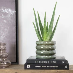 Aloë Vera – Vetplant & Succulent - ⌀10,5 Cm - ↕30-35 Cm -Bekend Tuinmeubelen Winkel 1514401670 0103