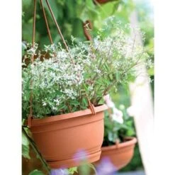 Prosperplast Prosperplats Bloempot Hangend - Terracotta - Kunststof - 24 Cm -Bekend Tuinmeubelen Winkel 1526546323 0101