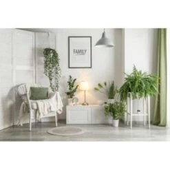 Nephrolepis Green Lady - Krulvaren In Hangpot - Pot 17 - ↕20 Cm 9 Nephrolepis Green Lady - Krulvaren In Hangpot - Pot 17 - ↕20 Cm -Bekend Tuinmeubelen Winkel 1718685725 0103