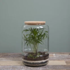 Mica Decorations Elements Terrarium -Bekend Tuinmeubelen Winkel 4e841e3249de43e882fa11a4f150be3d