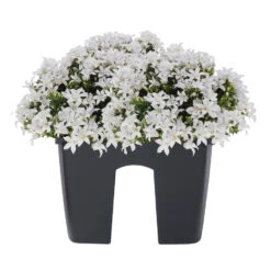 Bestsellers -Bekend Tuinmeubelen Winkel ed5d93d10097496a88089ae90063c150