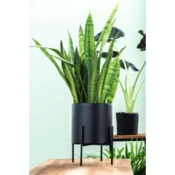 Bloempot Op Pootjes Niek - Zwart - 12/18xØ12,5 Cm -Bekend Tuinmeubelen Winkel sf 71124031 1010